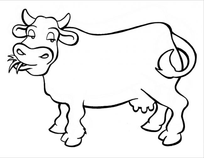 vẽ con bò 14