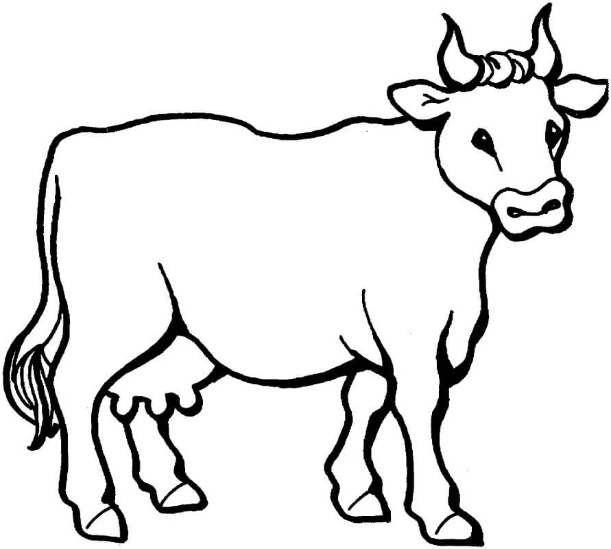 Con bò đốm động vật có vú bản vẽ con bò dễ thương động vật png   PNGEgg