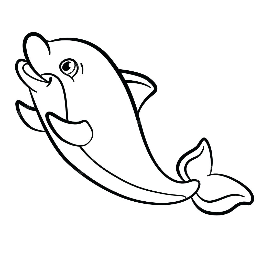 Cách vẽ con cá heo đẹp đơn giản quá ngộ nghĩnh, dễ thương – HTNC