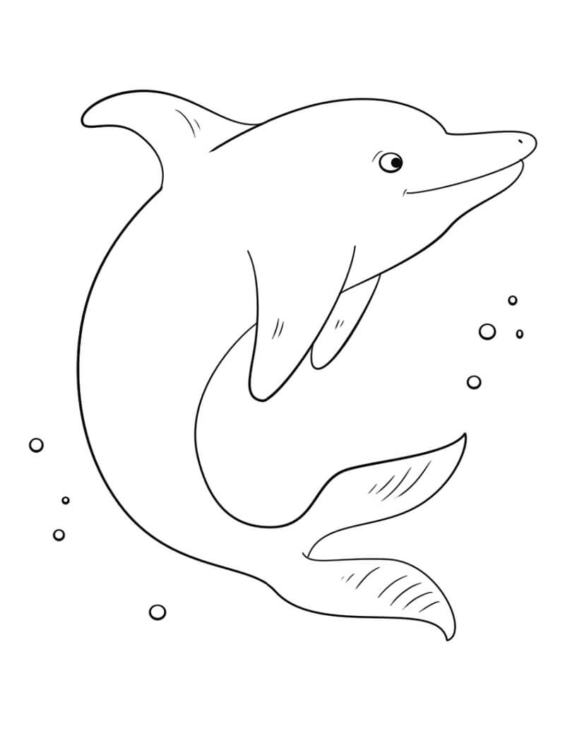 vẽ một con cá heo 15