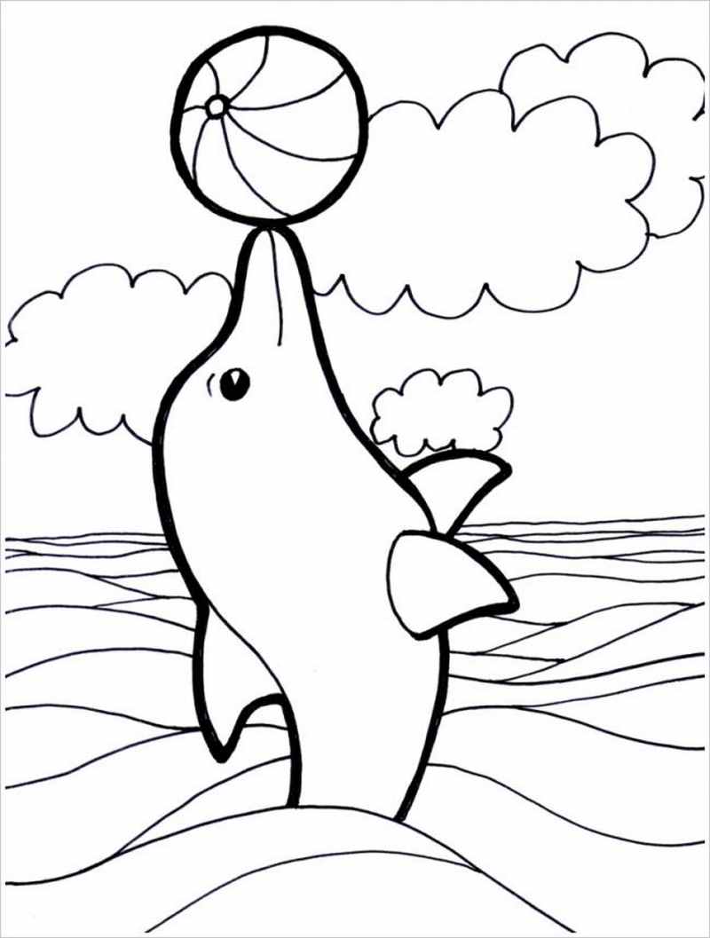 Cách vẽ con cá heo đẹp đơn giản quá ngộ nghĩnh, dễ thương – HTNC