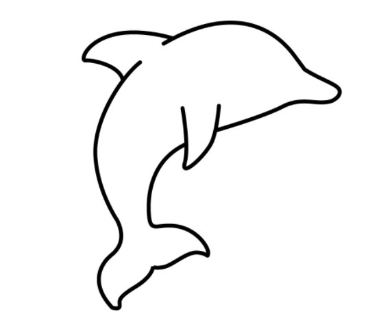 vẽ con cá heo 5