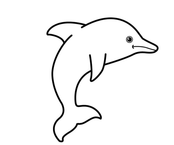 vẽ con cá heo 6