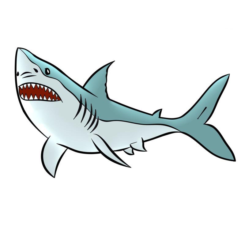 Rất Hay: Cách vẽ con cá mập đơn giản cho bé đến phức tạp dễ thương nhất