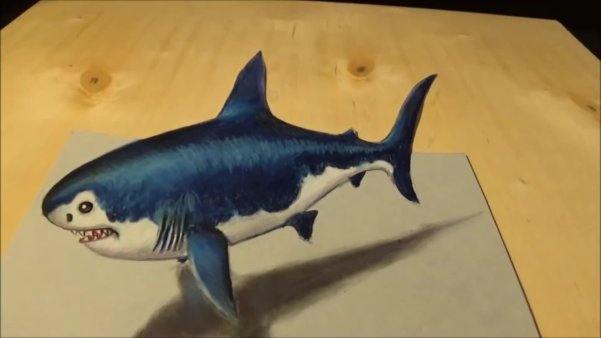 vẽ con cá mập 20