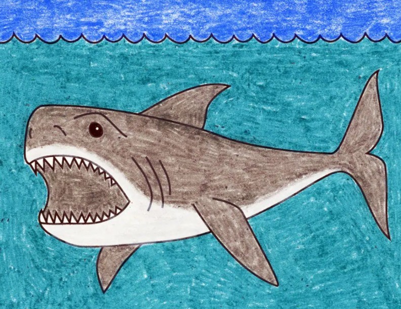 vẽ con cá mập 21