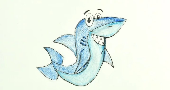 vẽ con cá mập 7
