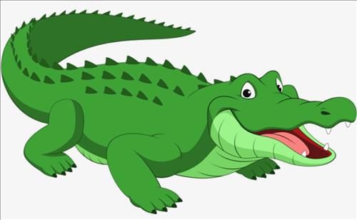 vẽ con cá sấu 1