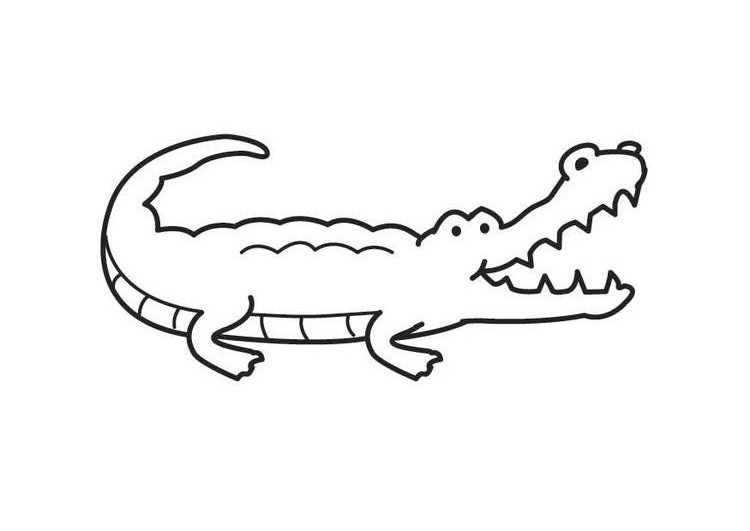 Tải miễn phí bài tập tô màu  Tô màu Con Cá sấu  STEAM KIDS