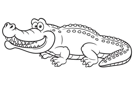 vẽ con cá sấu 12