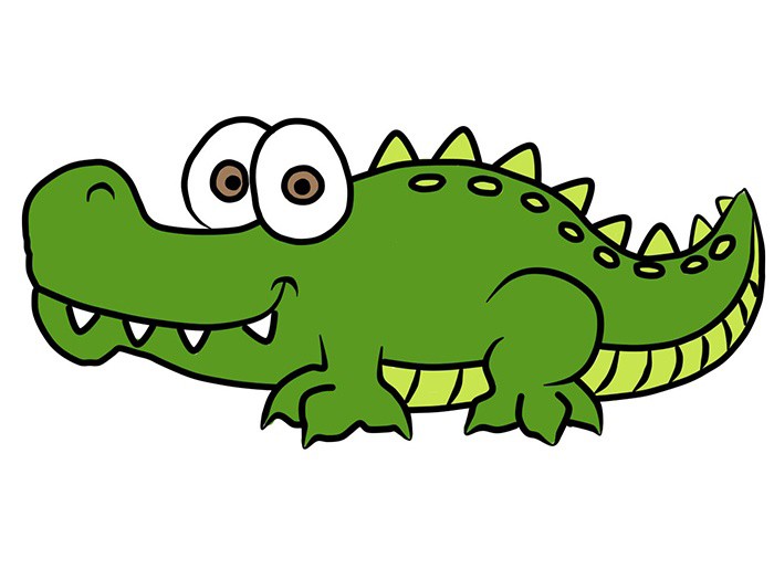 vẽ con cá sấu 17
