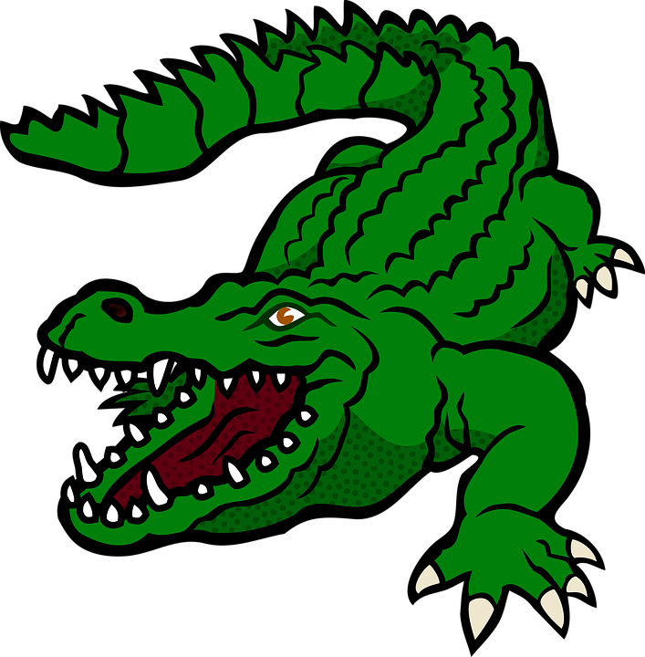 vẽ con cá sấu 19