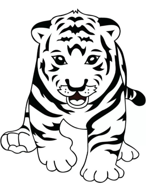 vẽ con hổ 13