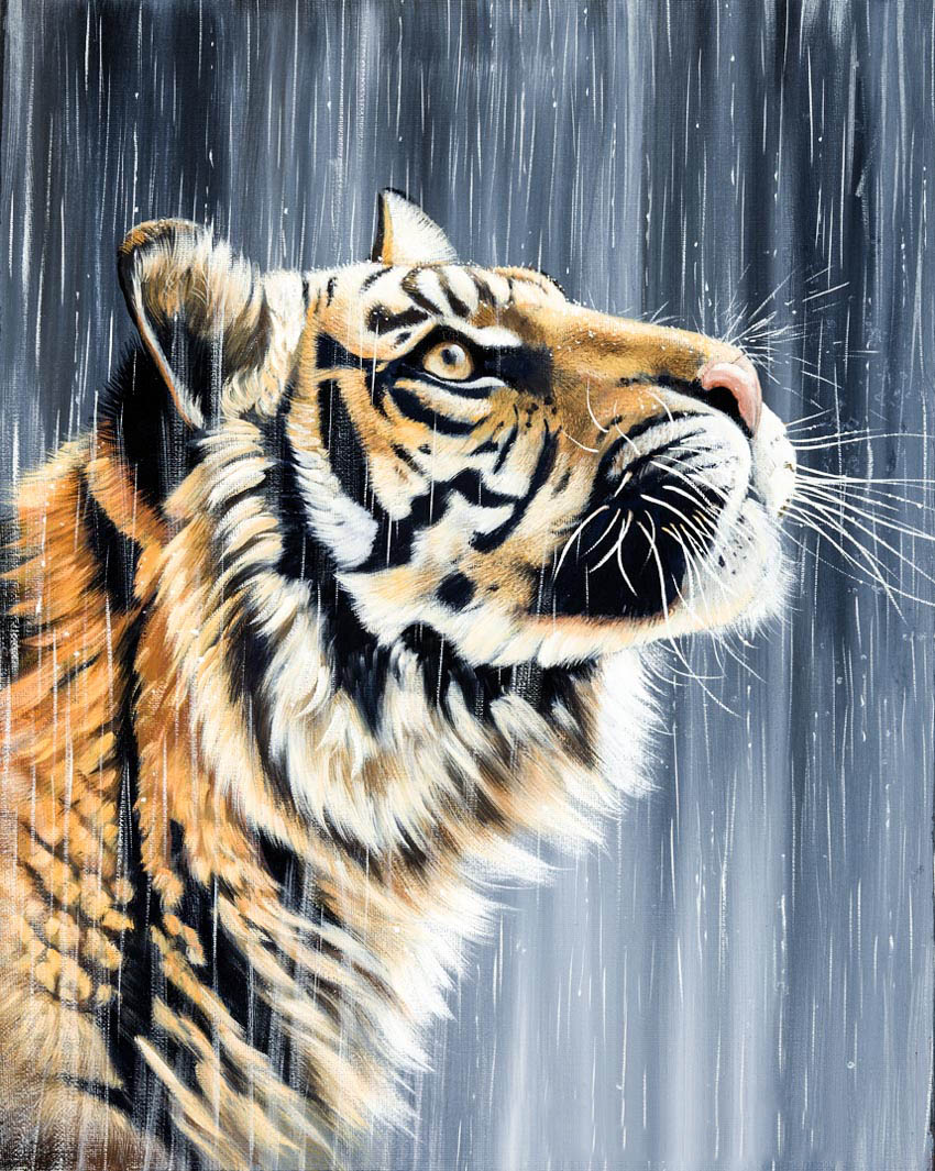 vẽ con hổ 17