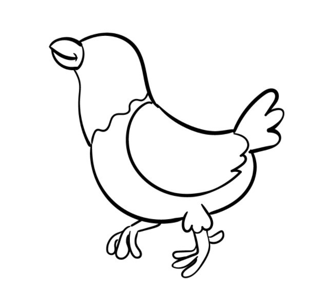 vẽ con gà 15