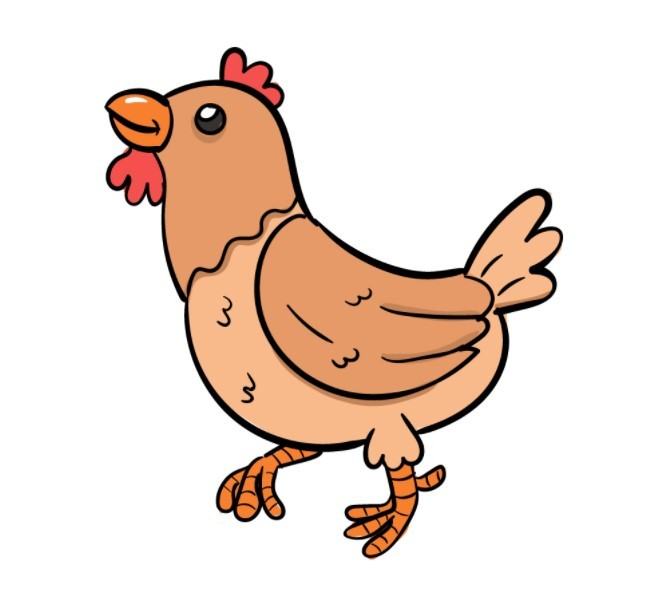vẽ con gà 18