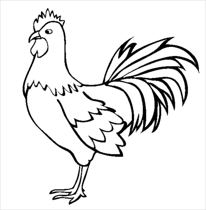 vẽ con gà trống 12