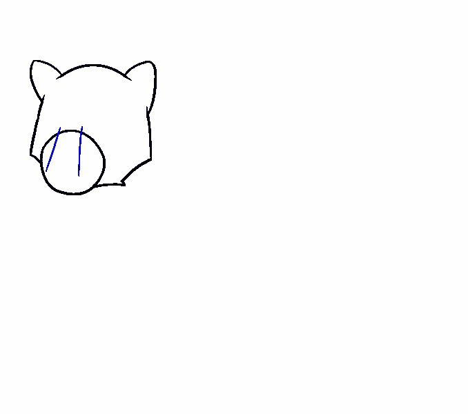 vẽ con cái gấu 11