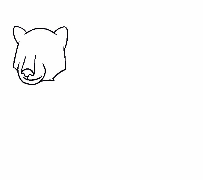 vẽ con cái gấu 12
