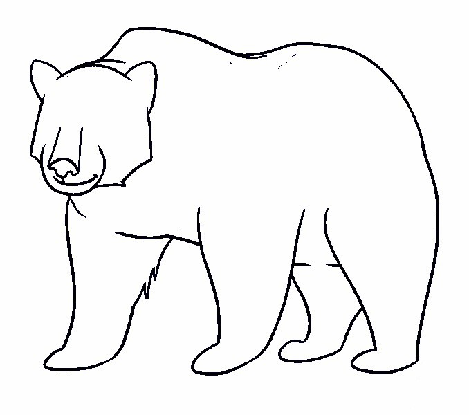 vẽ con cái gấu 15