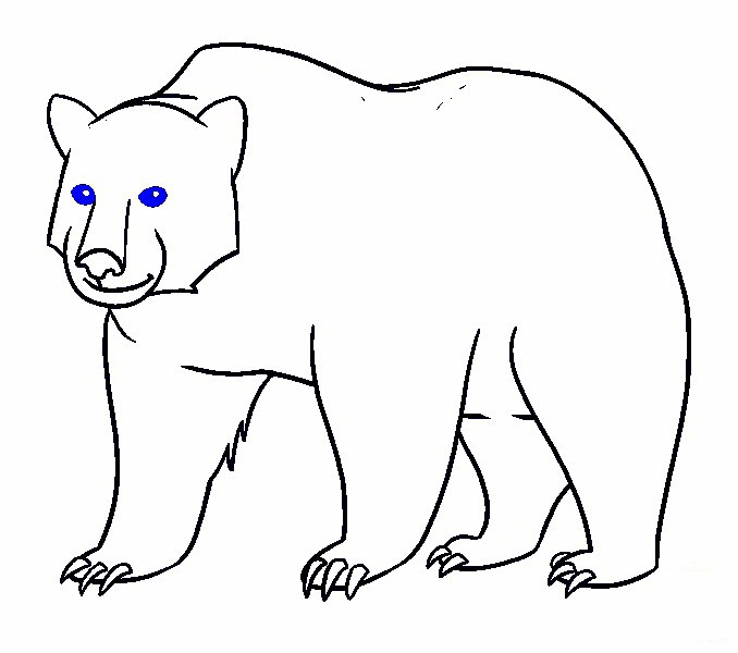 vẽ con cái gấu 16