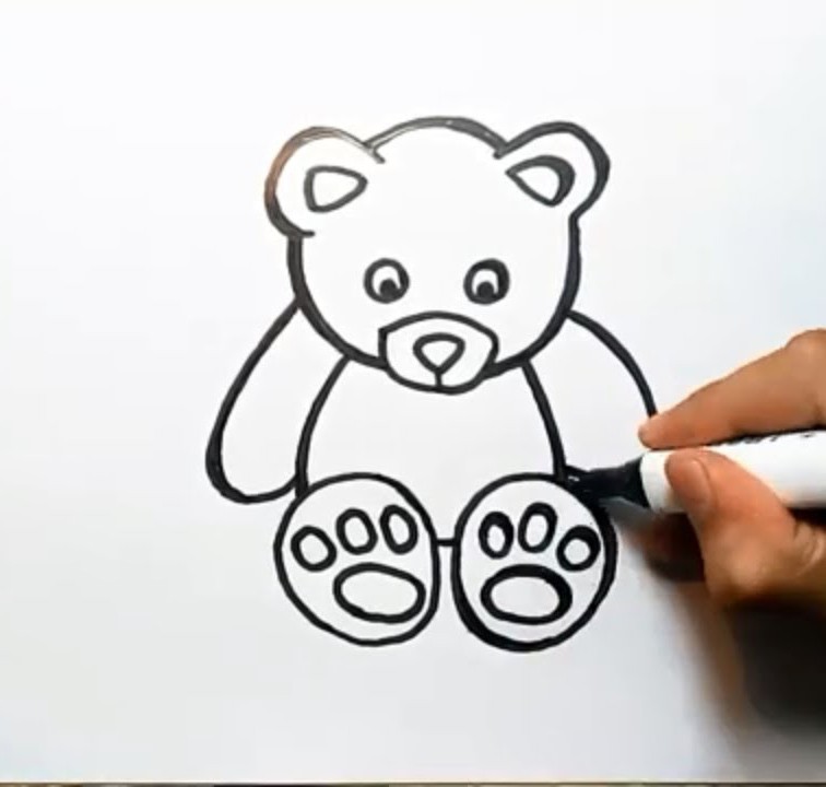 vẽ con gấu 18