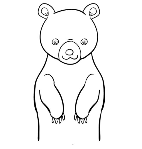 vẽ con gấu 7