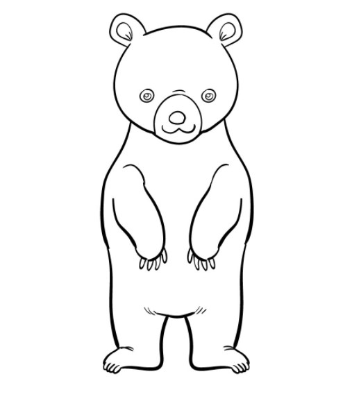vẽ con gấu 8