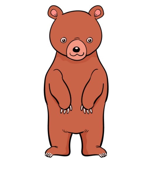 vẽ con cái gấu 9