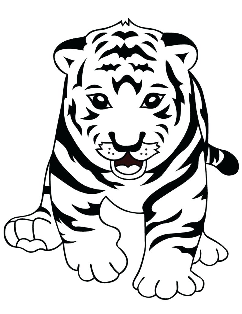 vẽ con hổ 13