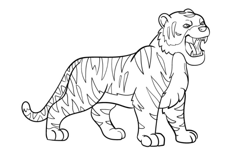 vẽ con hổ 8