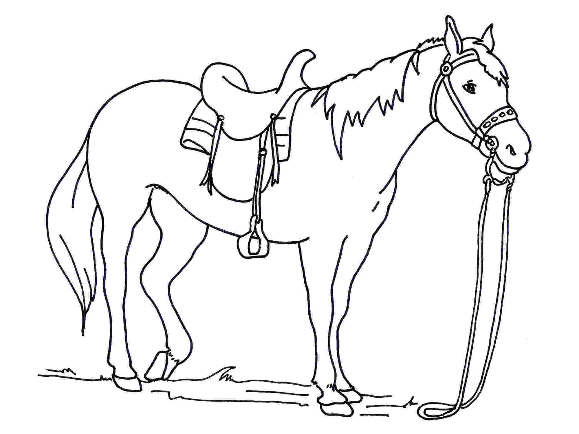 vẽ con ngựa 1