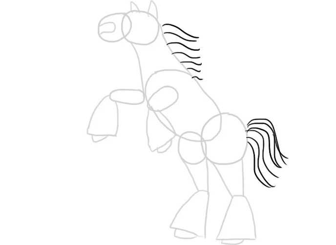 vẽ con ngựa 12