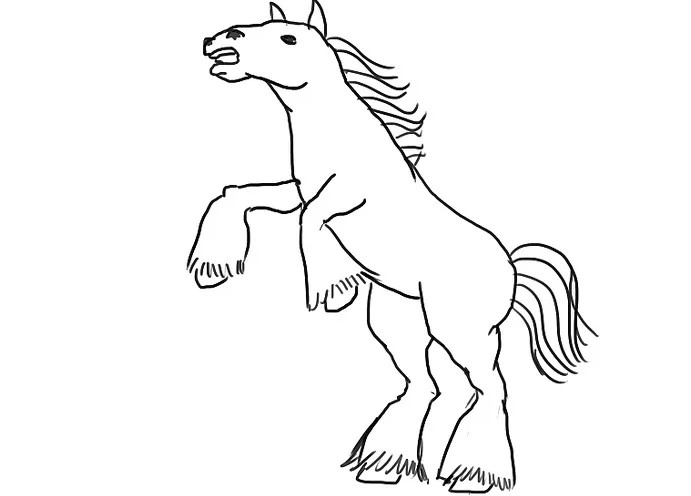 vẽ con ngựa 13