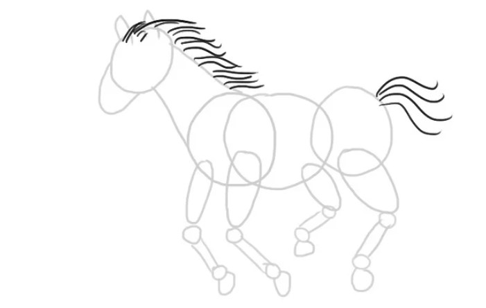 vẽ 18. con ngựa