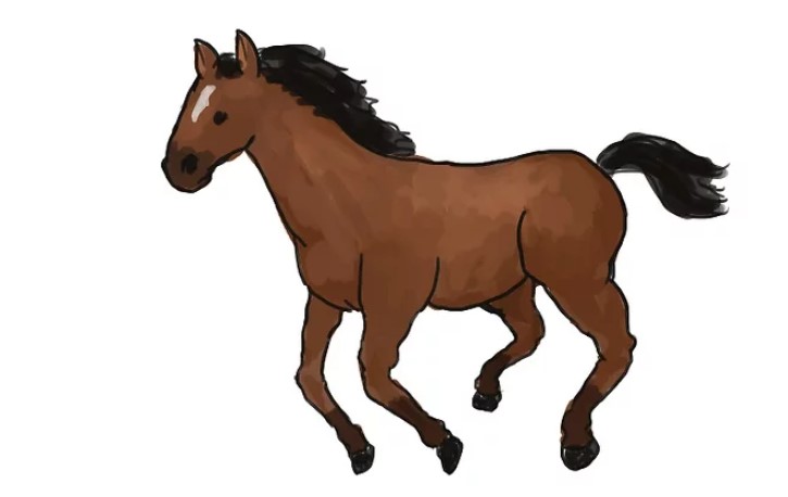 vẽ 19 con ngựa