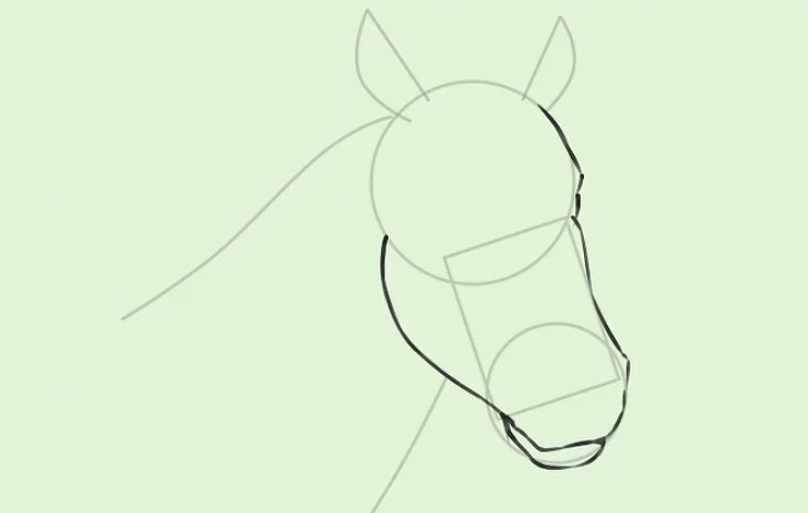 vẽ con ngựa 22