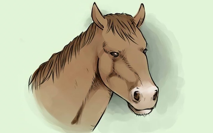 vẽ 25 con ngựa