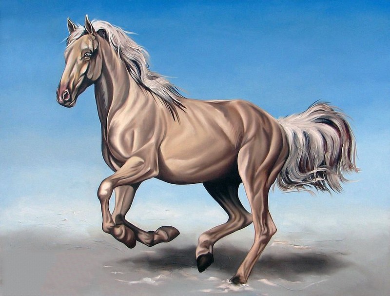vẽ con ngựa 29