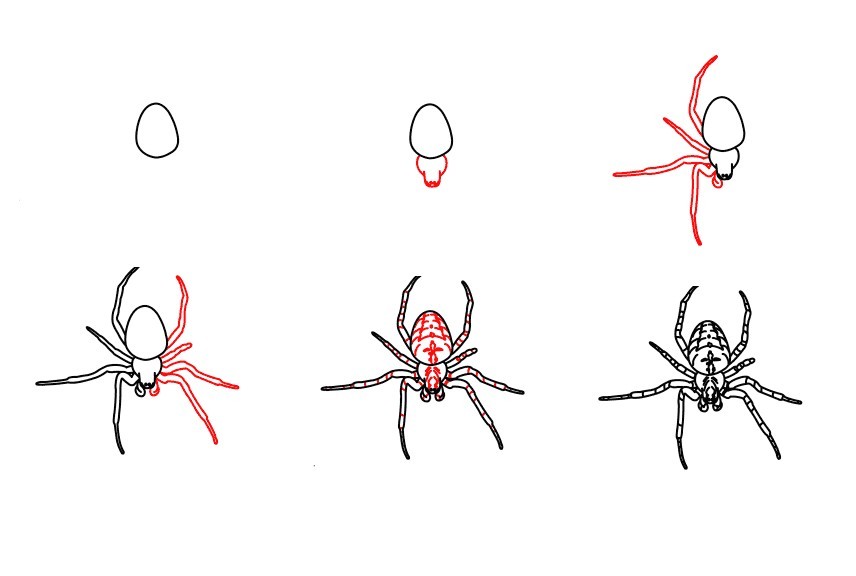 vẽ con nhện 1