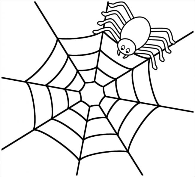 vẽ con nhện 14
