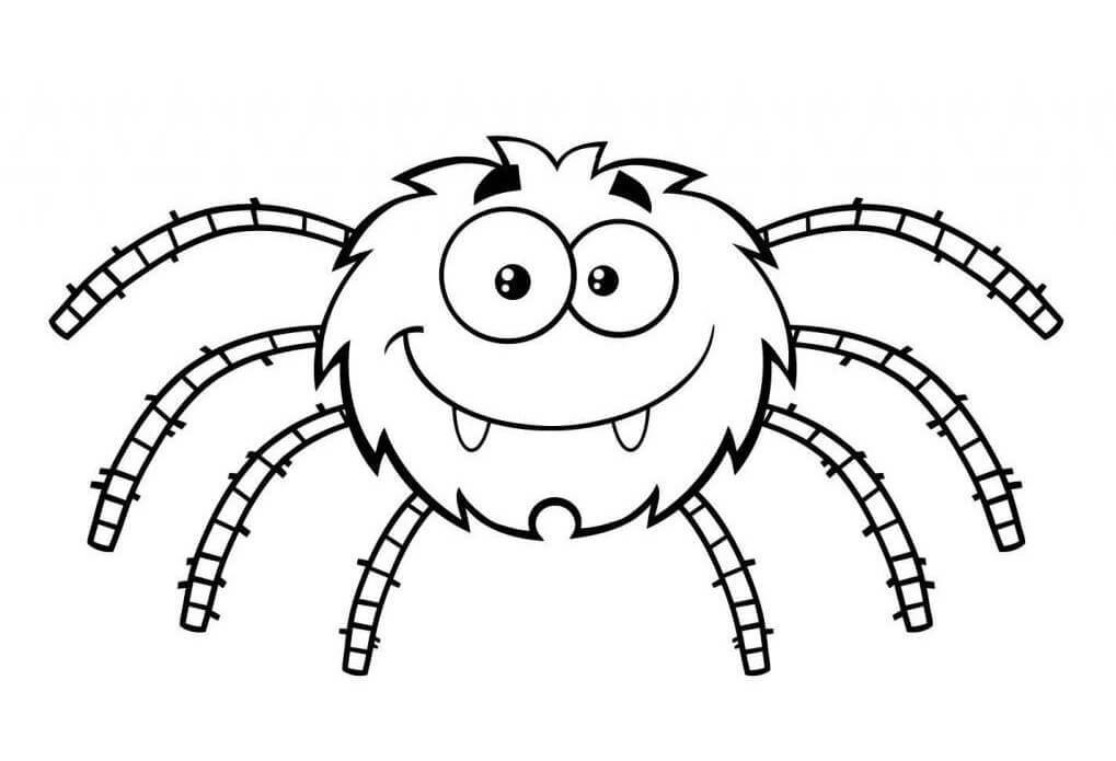 vẽ con nhện 16