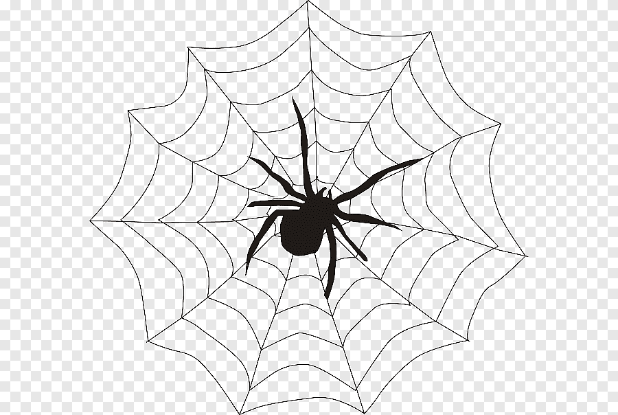 vẽ con nhện 18
