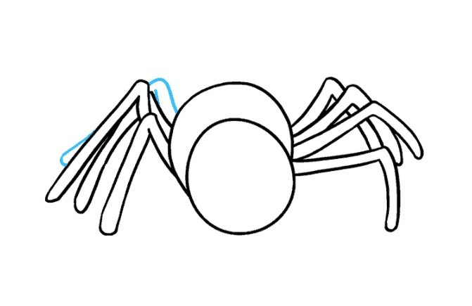 vẽ con nhện 9