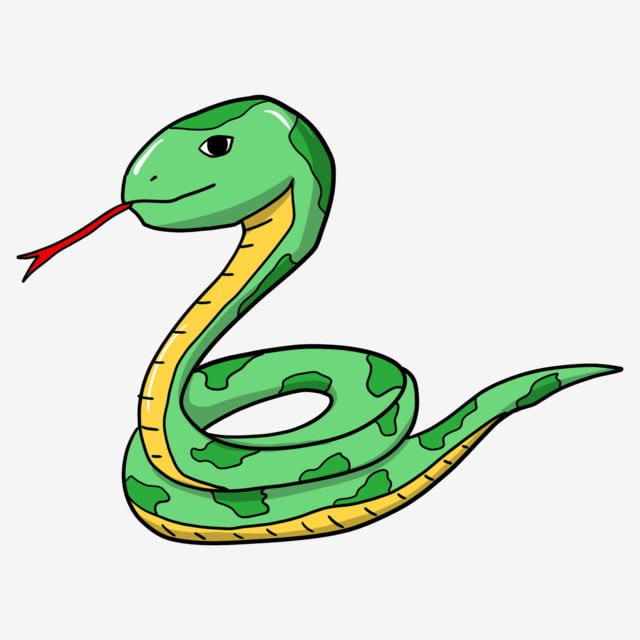 vẽ con rắn 1