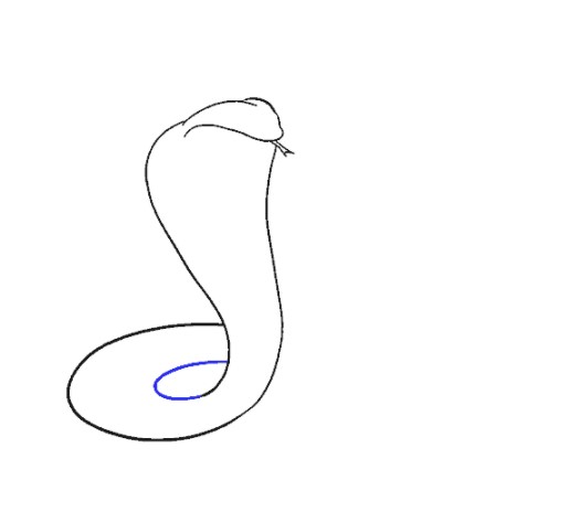 vẽ con rắn 14