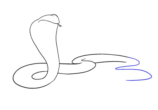 vẽ con rắn 15