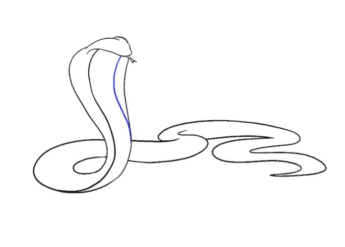 Cách vẽ con rắn đơn giản nhất cho bé [Cách vẽ con rắn hổ mang] - Trường  Tiểu học Trảng Dài