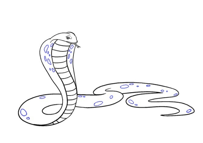 vẽ con rắn 17