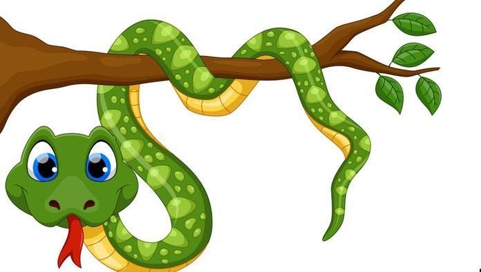 vẽ con rắn 22